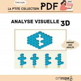 Analyse visuelle 3D