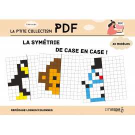 La symétrie, de case en case !