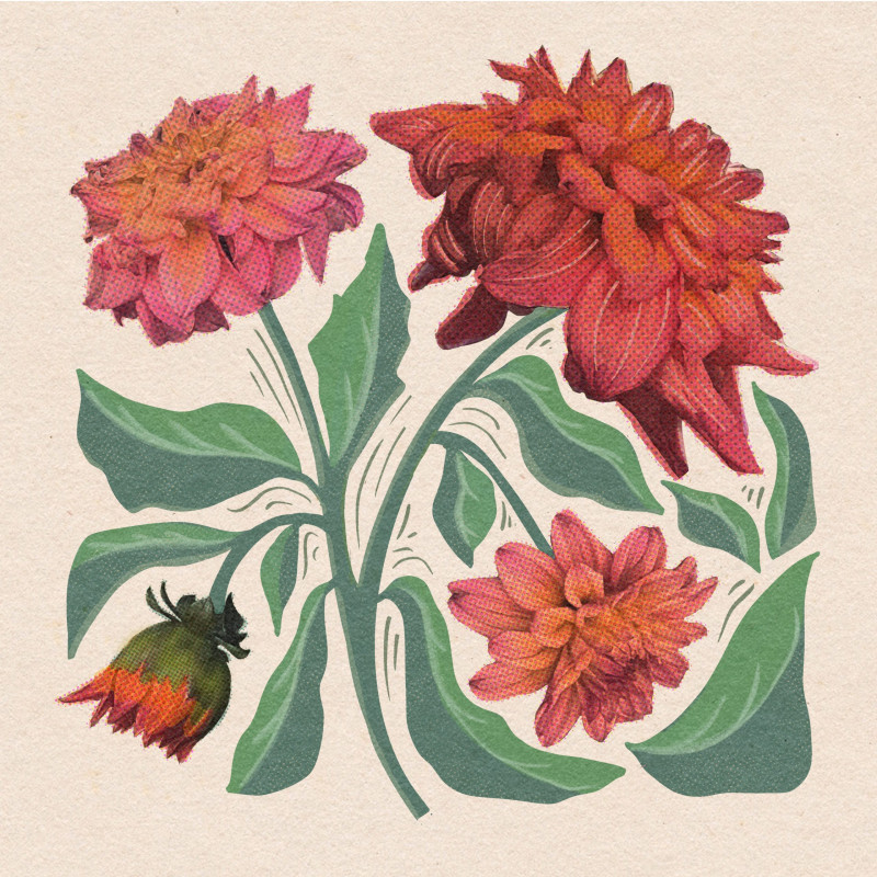 Carnet à mot de passe