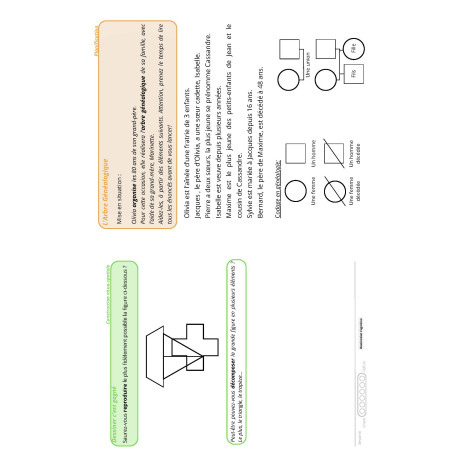 Destination cognition