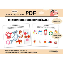 Chacun cherche son détail !