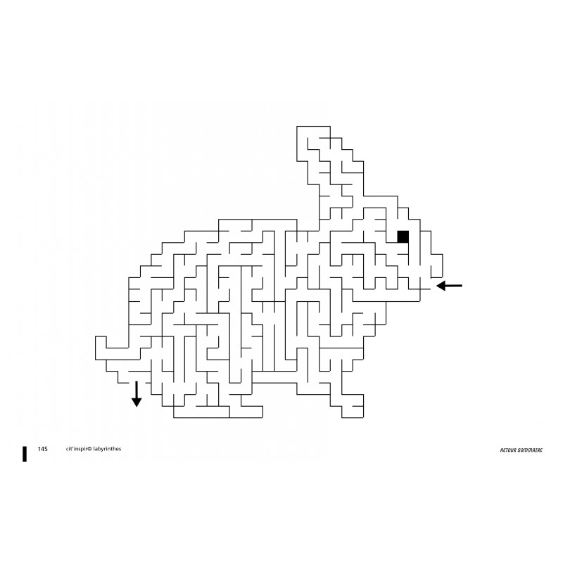 Labyrinthes PDF